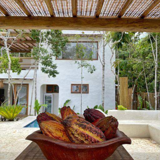 Villa Alba - Trancoso Dış mekan fotoğraf